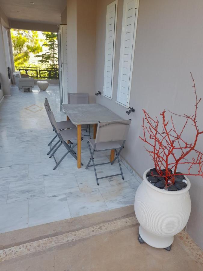 Suite With Garden Agia Marina  Esterno foto
