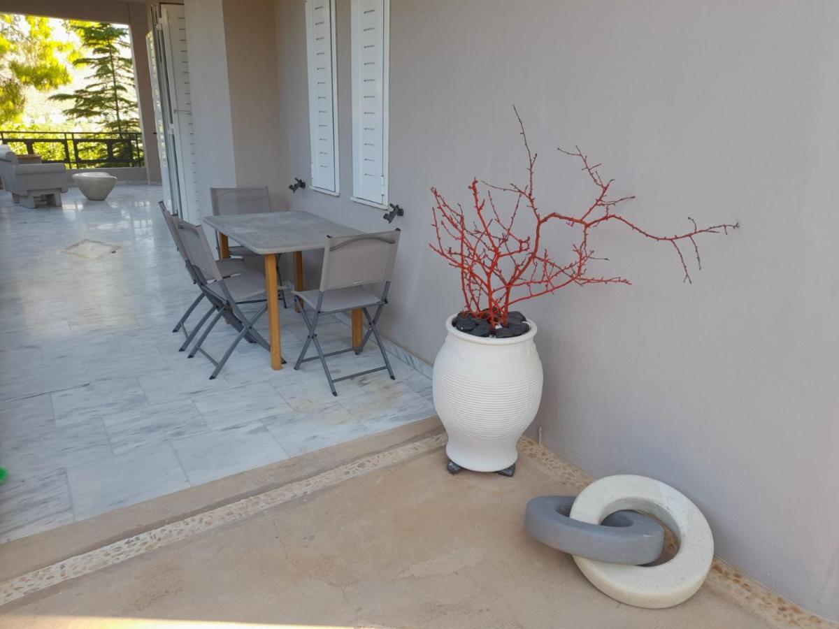 Suite With Garden Agia Marina  Esterno foto